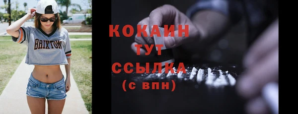 ALPHA PVP Няндома