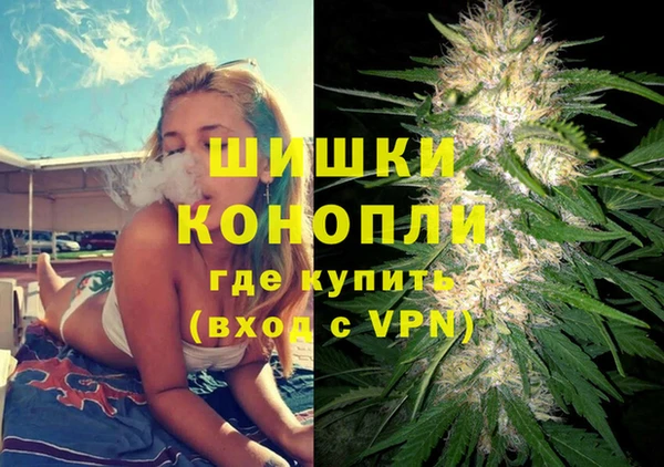 ALPHA PVP Няндома