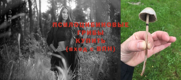 трава Весьегонск