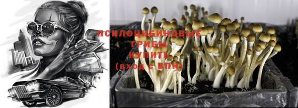 ALPHA PVP Няндома