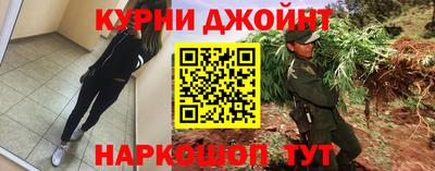 шишки Гатчина