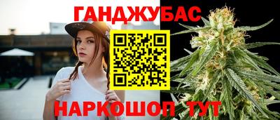 шишки Гатчина