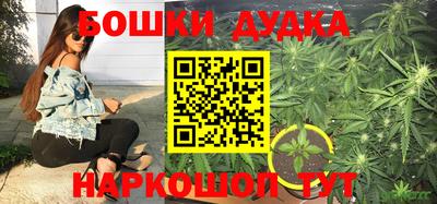 эйфоретик Гай