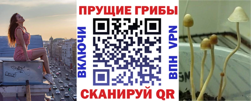 kraken зеркало  Лесозаводск  Псилоцибиновые грибы ЛСД 
