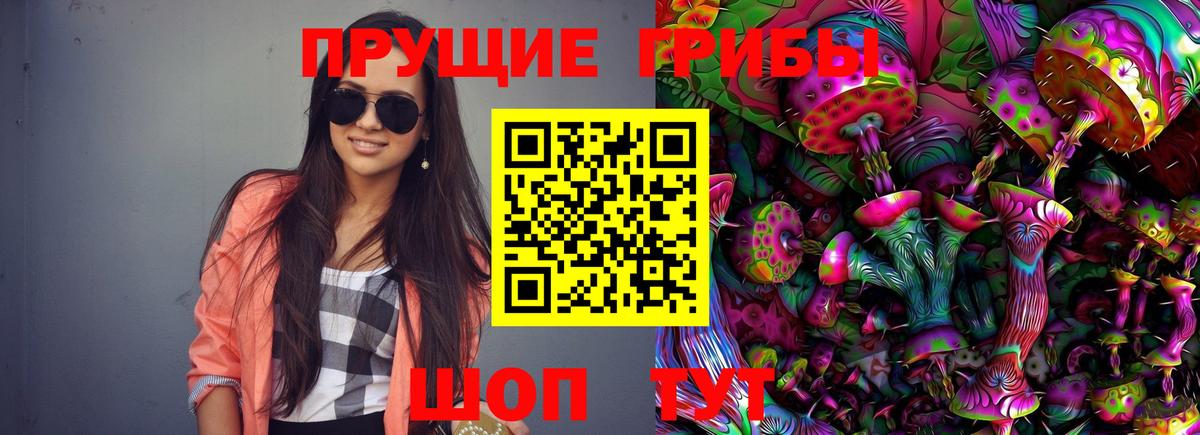 где купить наркоту  Псилоцибиновые грибы Cubensis  Лесозаводск  Псилоцибиновые грибы Magic Shrooms 