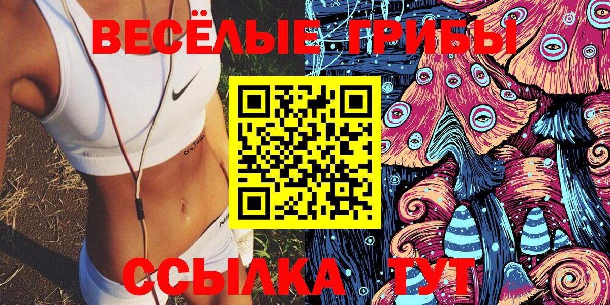 Лесозаводск  Галлюциногенные грибы мицелий  Вход с VPN 